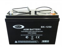 BK-1250